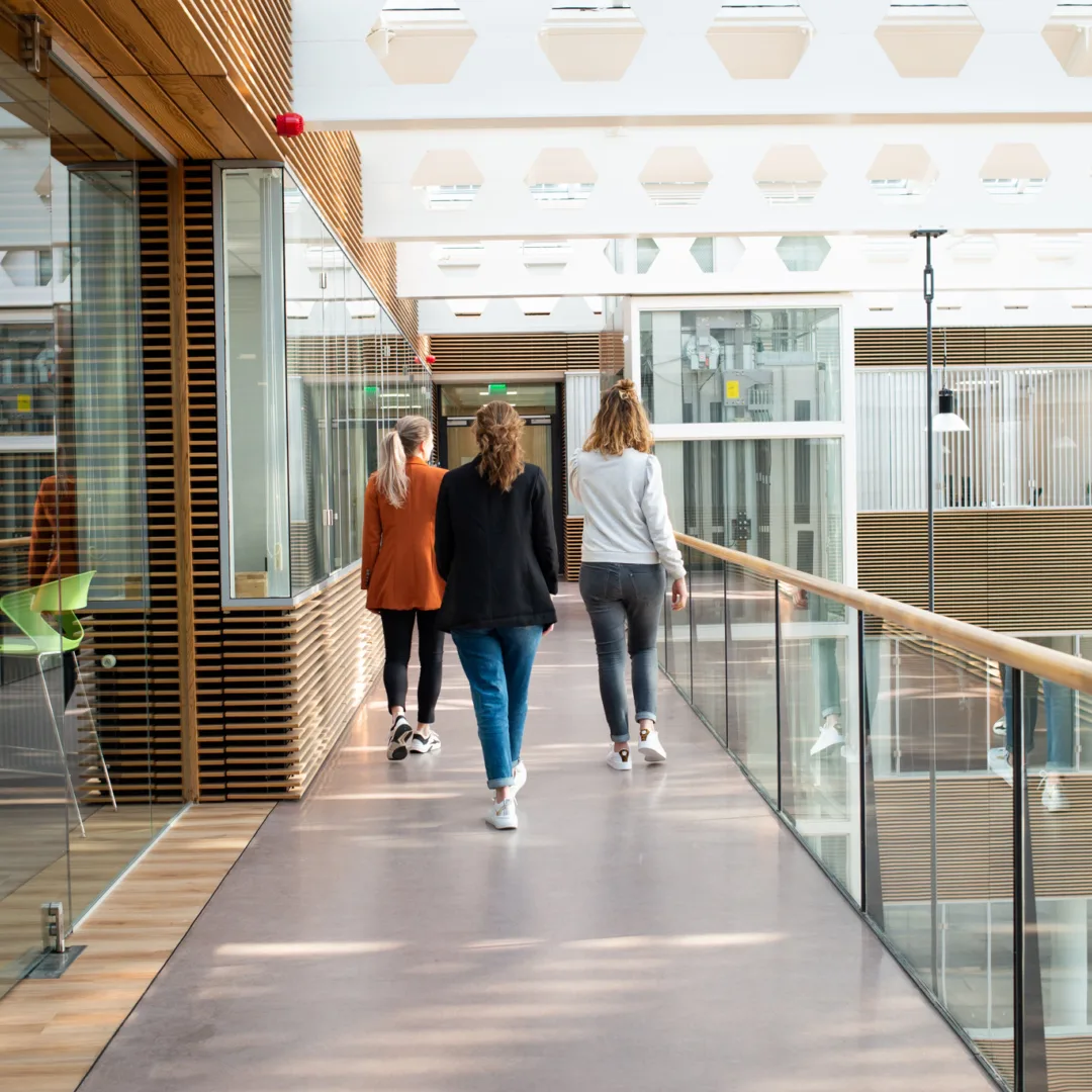 Hofhoek - Sfeerbeeld