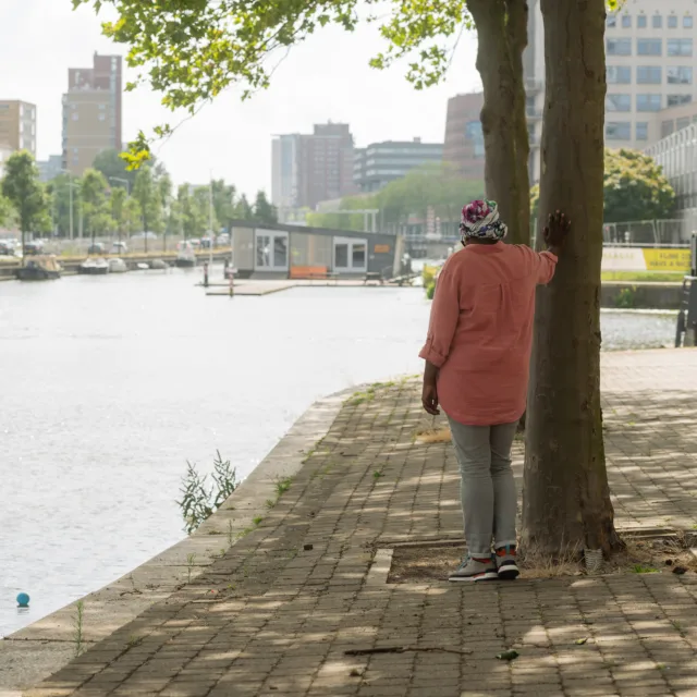 Verhalenbundel - Rosa
